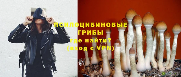 a pvp Армянск