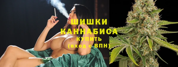 молекула духа Аркадак