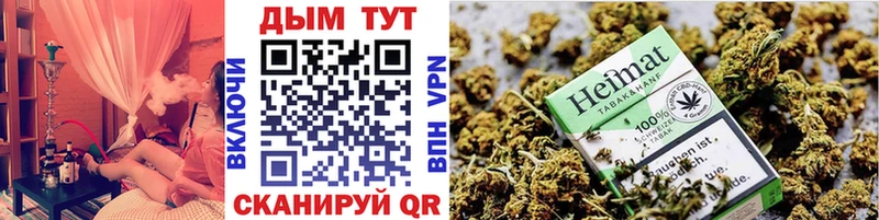 Купить закладки Сычёвка Бошки Шишки сатива